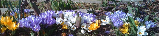 Ostern ohne Hase, Huhn, Ei und Lamm?