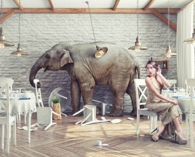 Die AfD und der große rosa Elefant