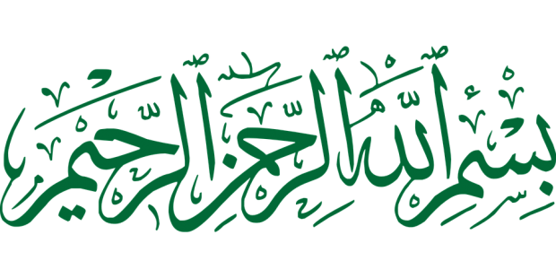 Arabisch für Anfänger oder Was Sie bisher über die arabische Sprache nicht zu wissen brauchten