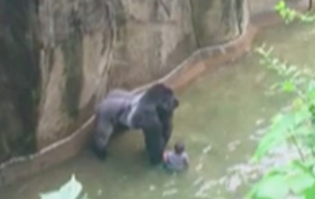 Wenn Menschenfeinde sich als Tierschützer gebärden