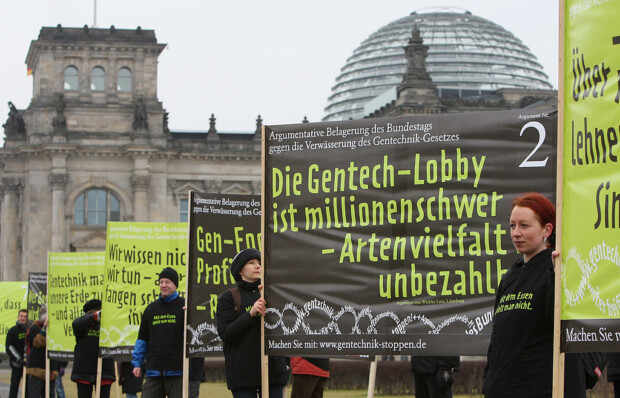 Goldener Reis: Wissenschaftler gegen Greenpeace Boykott