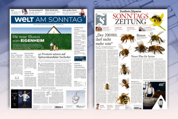 Nach dem Sommerloch mit den Bienen zurück ins Wespennest Politik