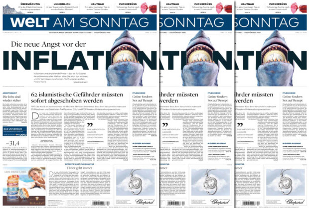 Politisches Schaltjahr