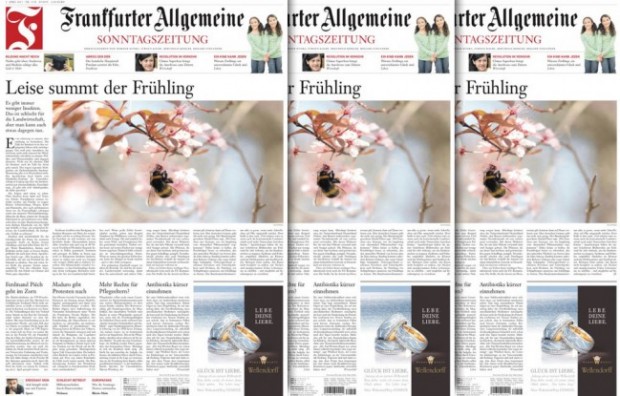 FAS: Gabriels schauriger Schwung