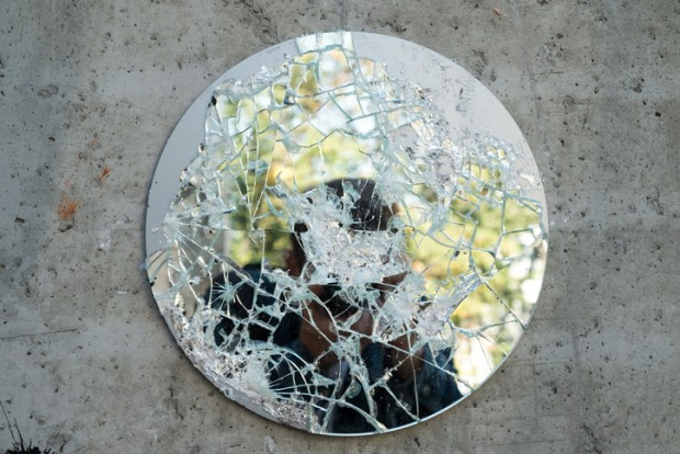 Rassismus als Instrument eines Kampfes politischer Ideenlehren