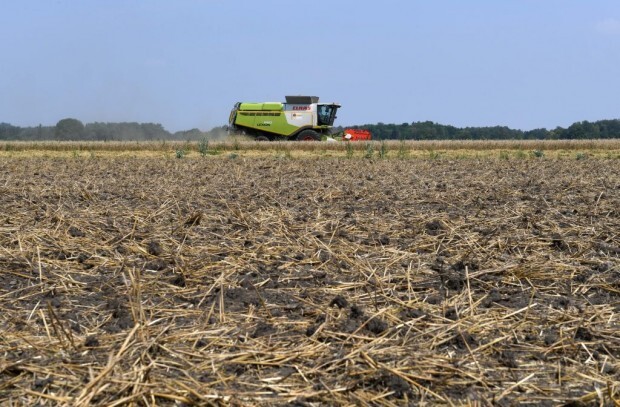 Wie die Bundesratsentscheidung über die Düngeverordnung zustande kam