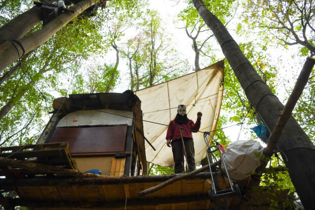 Gorleben, G20 und der Hambacher Forst