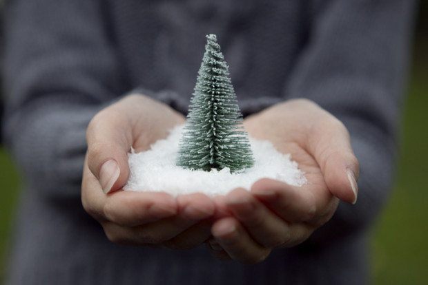 Leserstimmen zu Roland Tichys Weihnachtsbotschaft