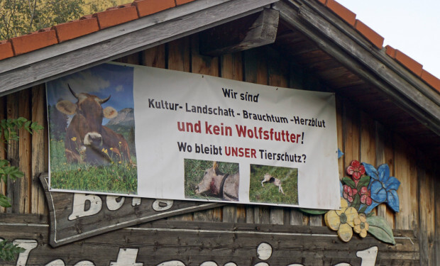 Lobbyistenfantasien statt Fakten