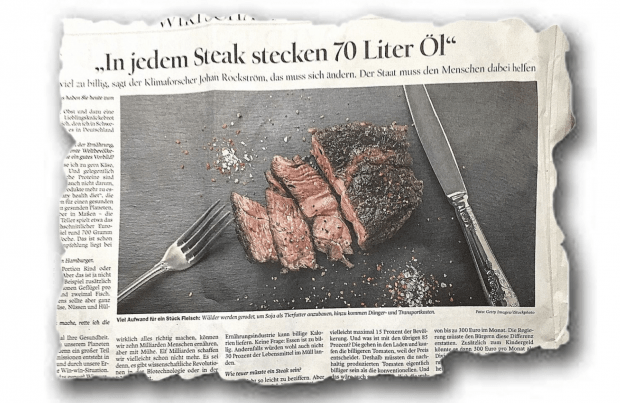 In diesem Tagesspiegel-Interview stecken 70 Tonnen Fake
