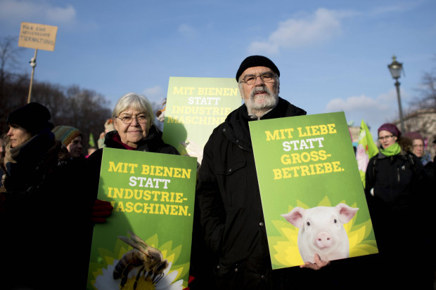 Graue Grüne: Die große Schwindelei von der jungen Partei