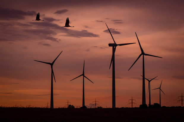 »Krisentreffen zur Windkraft«: Altmaiers Windgipfel ohne Bürgerinitiativen