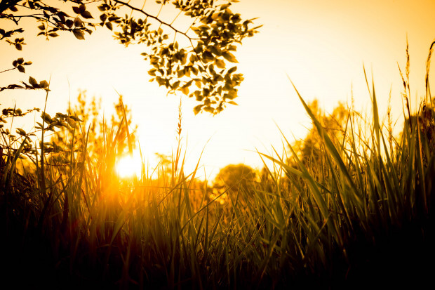 Und jetzt alle! (Was ist unser Refrain?)