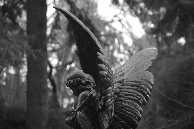 Publizist Günter Zehm gestorben