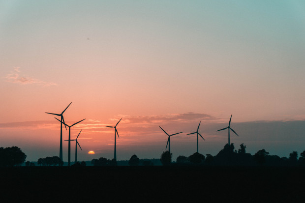 Windkraft-Industrie kollabiert – Politik soll helfen