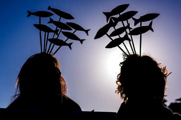 Kleine Fische und große Haie