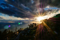 Ein neues, besseres Jahr: es kommt, wenn wir es wollen