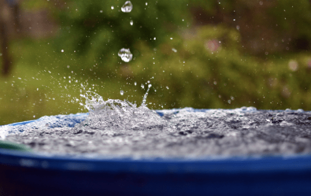 Hass und Heuchelei – »Haltung« und Spaltung