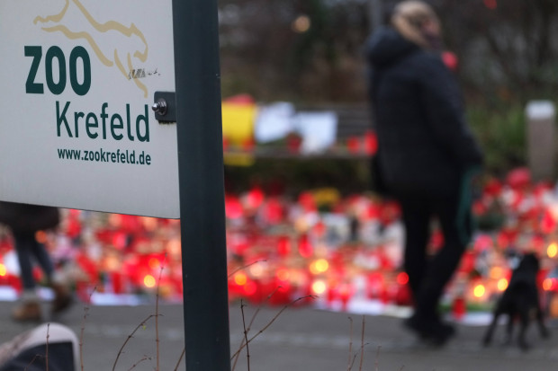Der Zoo von Krefeld und die Berichterstattung über die Tragödie