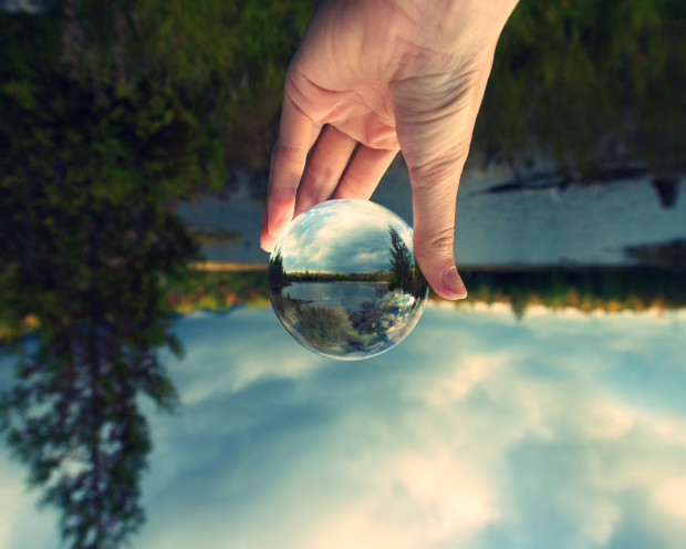 Die zehn schönsten Fälle von Rosstäuscherei in Politik und Medien