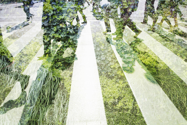 Die drohende Ökodiktatur