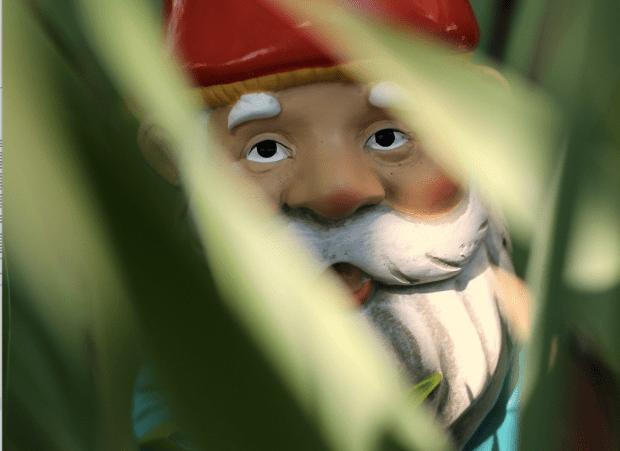 Das Menschenrecht auf Gartenzwerge