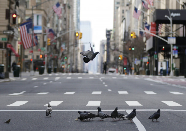 Das Corona-Beben und der Wert der Zivilisation