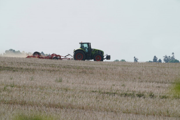 Ein Lob der technologischen und globalisierten Landwirtschaft