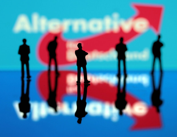 AfD: Der „Flügel“ in der Defensive