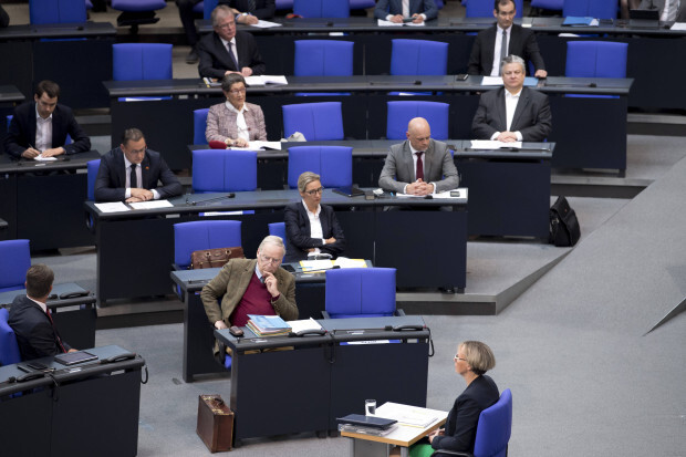 Die AfD streitet um die Einführung des Mitglieder-Parteitags