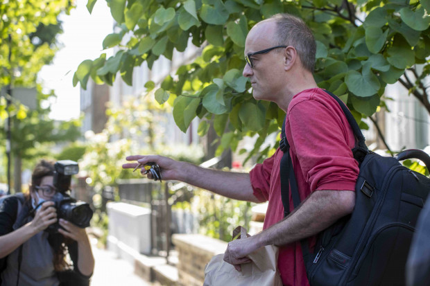 Boris Johnsons Brexit-Berater im Corona-Kreuzfeuer