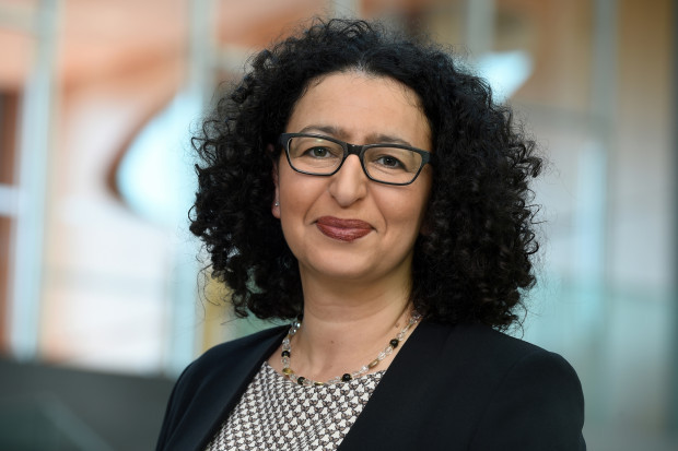 Umweltministerin Schulze duldet keine Frau mit eigener Meinung