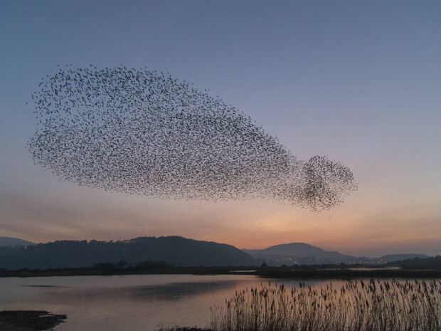 Sehen Sie Gespenster – oder sind Sie selbst eines?