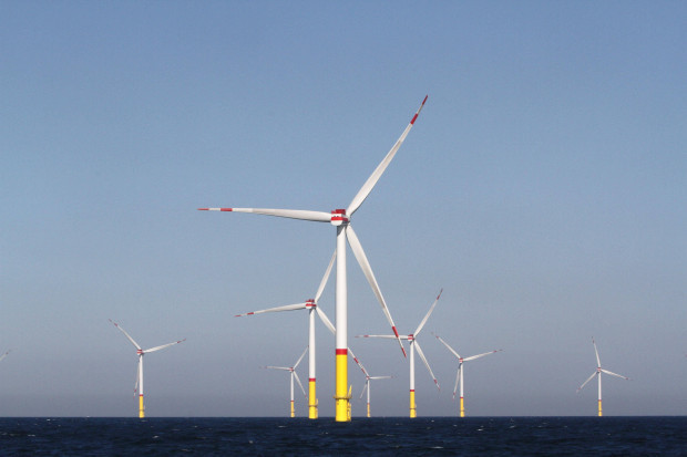 Pläne: Noch viel mehr Windräder in der Ostsee