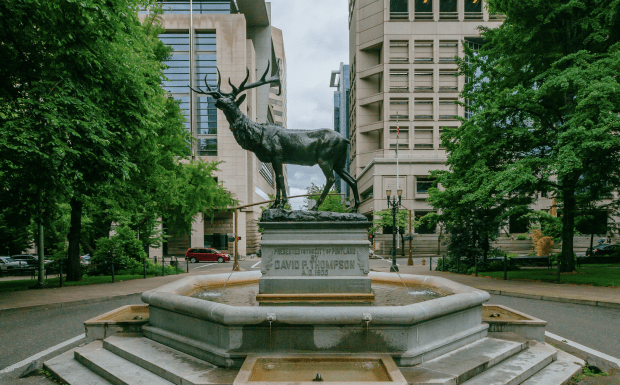Geschichtsloser Antifa-Terror: Nun traf es den Portland-Elk
