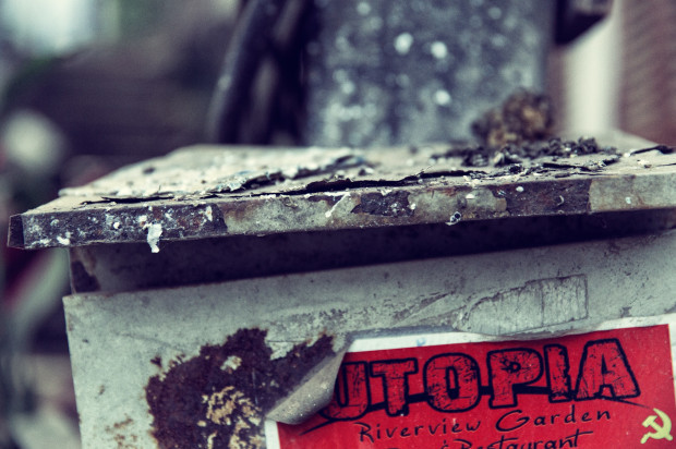 Alles neu, alles Anfänger