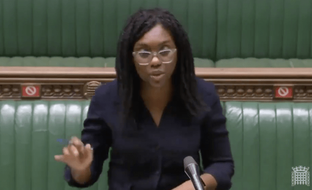 »Diese Regierung lehnt die kritische Rassentheorie eindeutig ab«