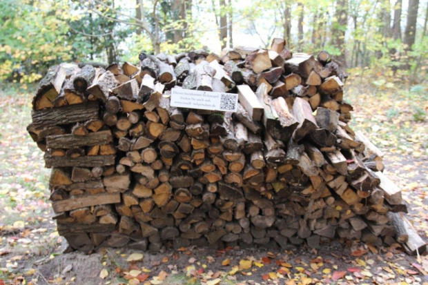 Stuhlkreis für einen Holzstapel