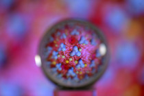 Corona-Dauerwelle: Die Politik ist ratlos