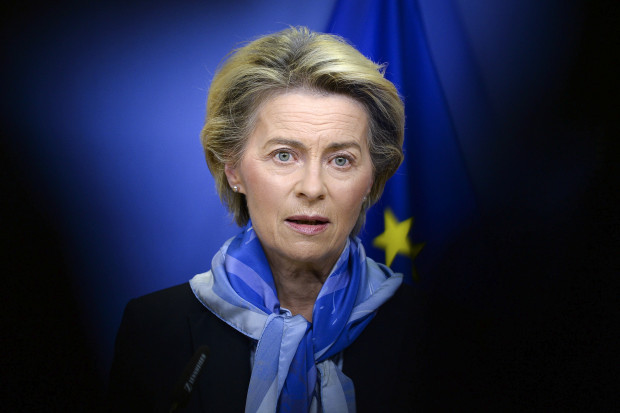 Ursula von der Leyen und ihre Projekte