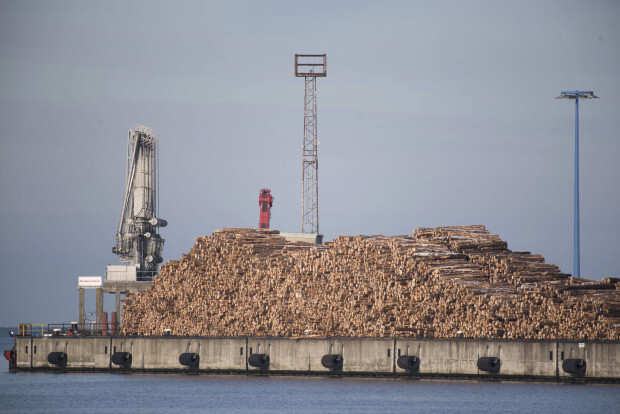 Der große Ökoschwindel durch Holzverbrennung