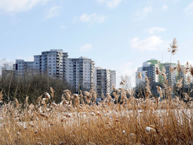 Die Grünen auf dem Weg zur Wohnraumbewirtschaftung