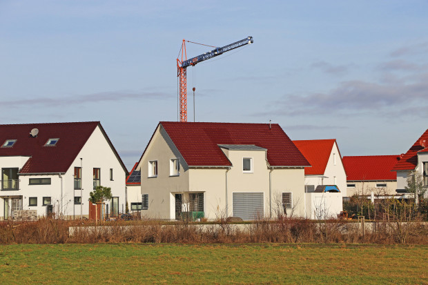 Neubauviertel Hamburg: Grüner Bezirksamtsleiter will Bürgerbegehren unterbinden