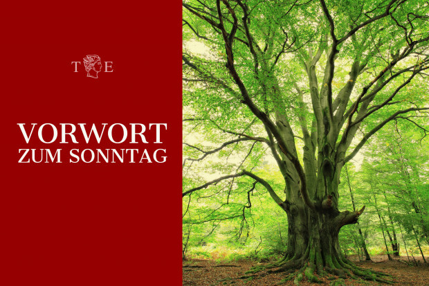 Liberal-Konservative brauchen einen starken Charakter – und Seelenpflege