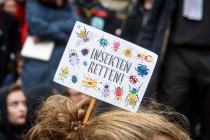 Die Hybris der Insektenschutz-Politik