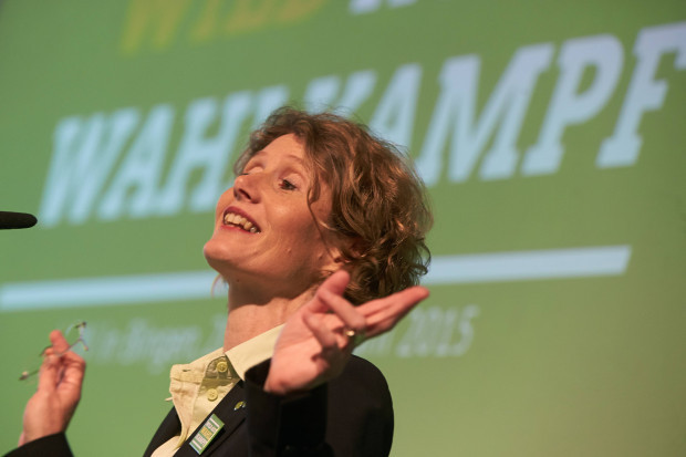 Die Windkraft kann sich lohnen – vor allem für Politiker