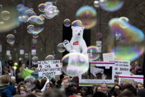 Das Verfassungsgerichtsurteil zum Klimaschutz stützt sich auf fragwürdige Quellen
