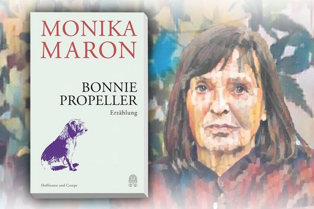 Zwischen Hund und Mensch geht es um das Elementare