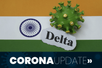 Die Delta-Panik und der nächste Lockdown 