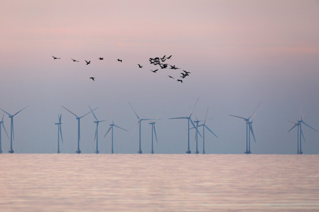 Windparks werfen Windschatten – Effizienverluste für Offshore-Anlagen zu erwarten